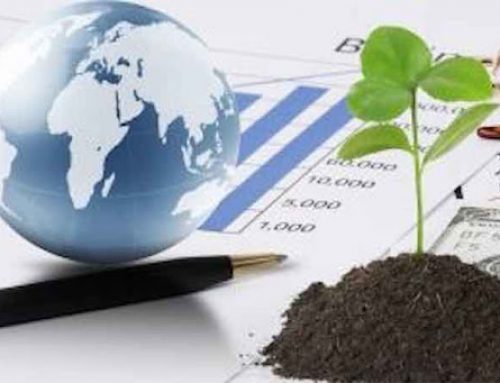 آن چه گزارشگری پایداری ممکن است به آن دست یابد